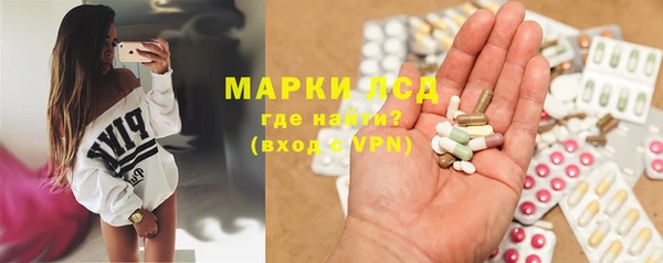 прущие грибы Пестово