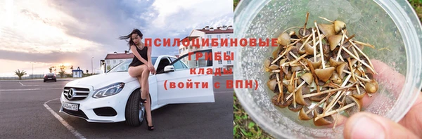 прущие грибы Пестово