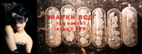 прущие грибы Пестово