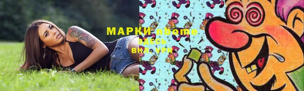 прущие грибы Пестово